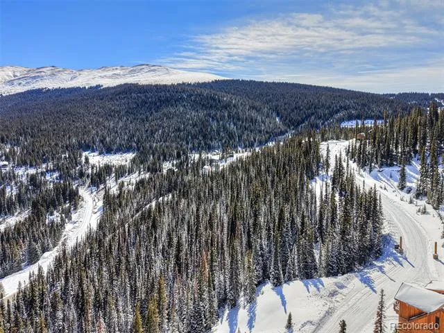 484 Carroll Lane Breckenridge, CO 80424