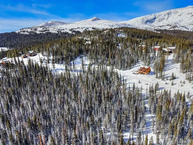 484 Carroll Lane Breckenridge, CO 80424