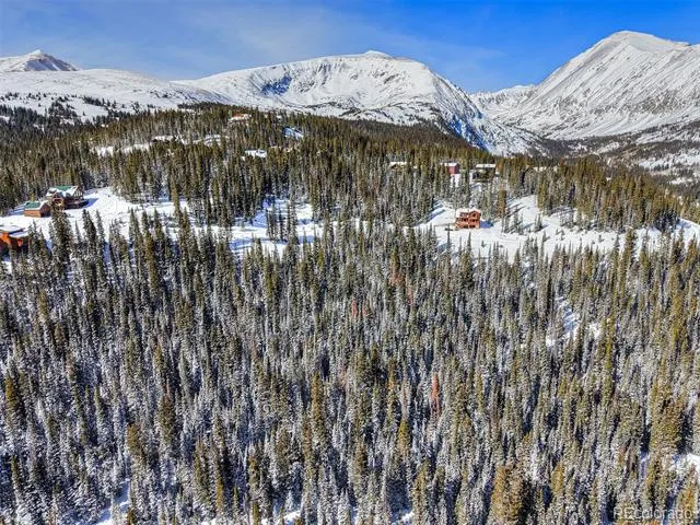 484 Carroll Lane Breckenridge, CO 80424