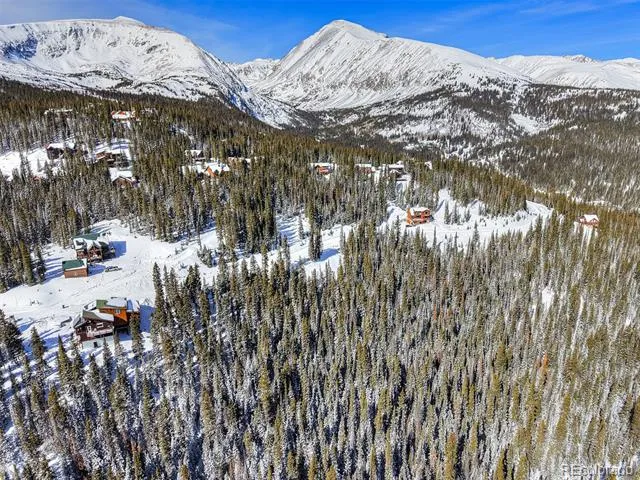 484 Carroll Lane Breckenridge, CO 80424