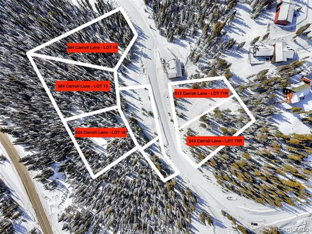 484 Carroll Lane Breckenridge, CO 80424