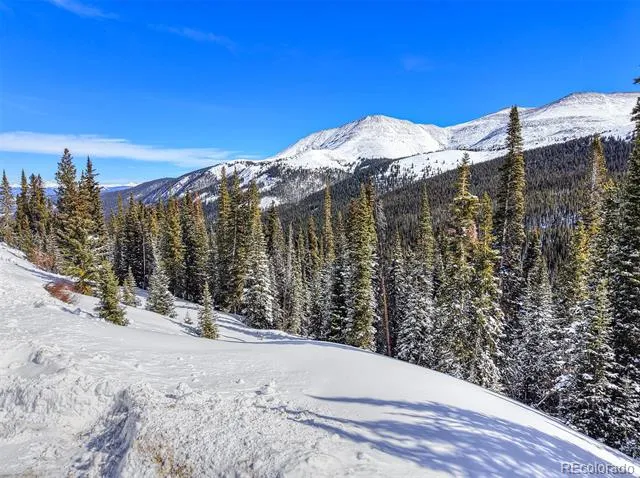 484 Carroll Lane Breckenridge, CO 80424