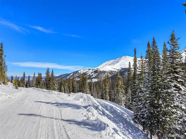 484 Carroll Lane Breckenridge, CO 80424