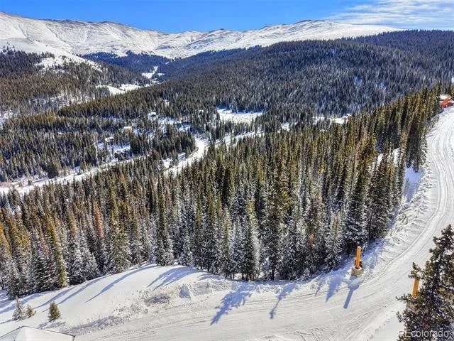 484 Carroll Lane Breckenridge, CO 80424