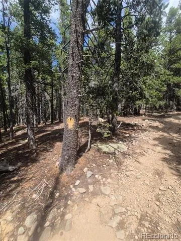 1900 County Road 128J Nederland, CO 80466
