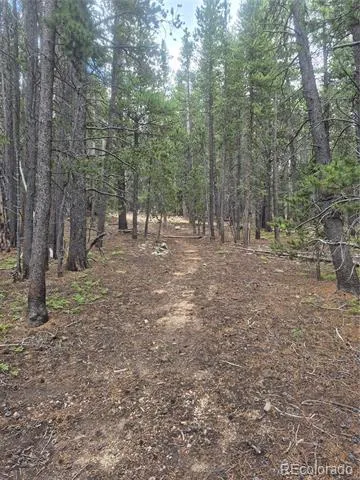 1900 County Road 128J Nederland, CO 80466