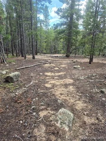 1900 County Road 128J Nederland, CO 80466