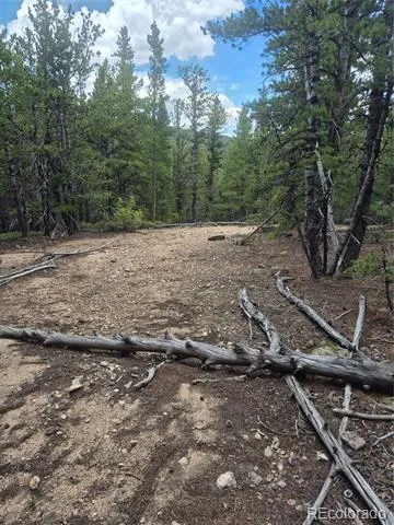 1900 County Road 128J Nederland, CO 80466