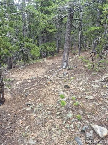 1900 County Road 128J Nederland, CO 80466