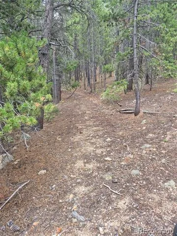 1900 County Road 128J Nederland, CO 80466