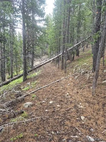 1900 County Road 128J Nederland, CO 80466
