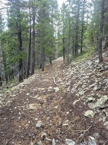 1900 County Road 128J Nederland, CO 80466