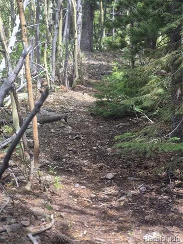 1900 County Road 128J Nederland, CO 80466