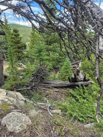 1900 County Road 128J Nederland, CO 80466