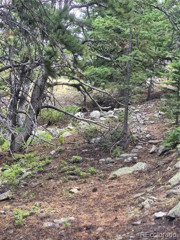 1900 County Road 128J Nederland, CO 80466