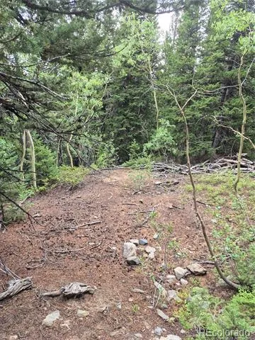 1900 County Road 128J Nederland, CO 80466