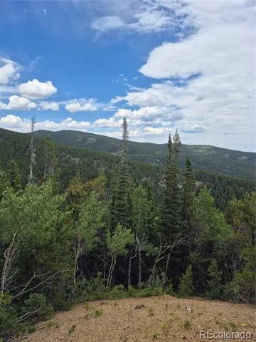 1900 County Road 128J Nederland, CO 80466