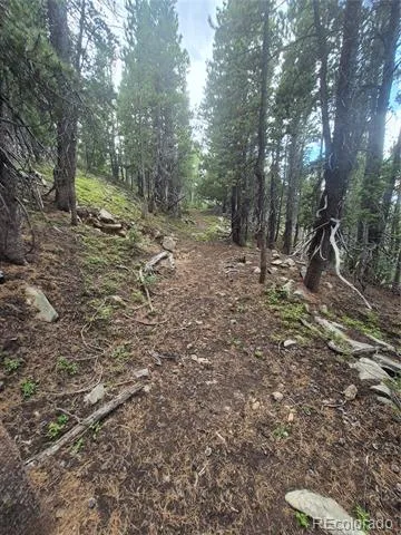 1900 County Road 128J Nederland, CO 80466