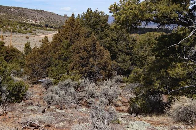 Lot 43 Shadow Trail San Luis, CO 81152