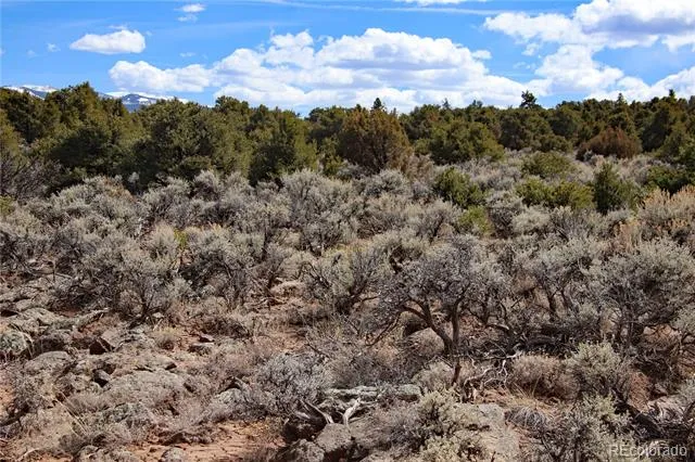 Lot 43 Shadow Trail San Luis, CO 81152