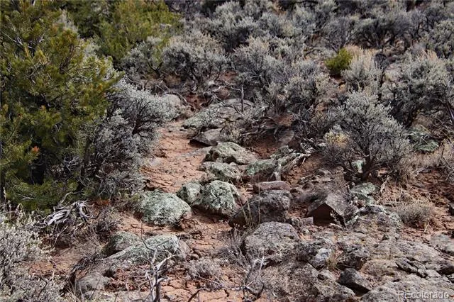 Lot 43 Shadow Trail San Luis, CO 81152
