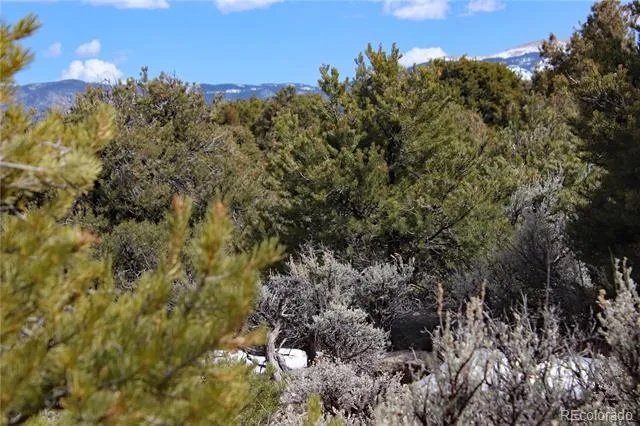 Lot 43 Shadow Trail San Luis, CO 81152