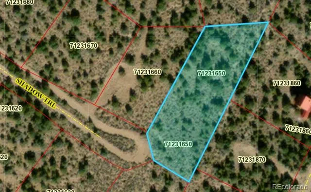 Lot 43 Shadow Trail San Luis, CO 81152