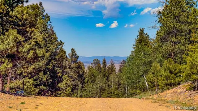 120 Chubb Court Buena Vista, CO 81211
