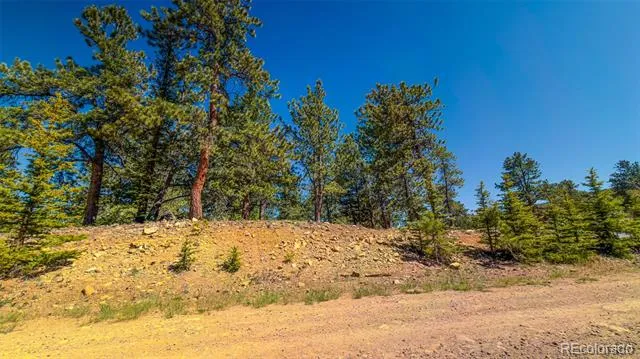 120 Chubb Court Buena Vista, CO 81211
