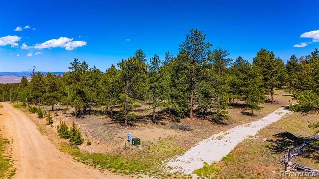 120 Chubb Court Buena Vista, CO 81211