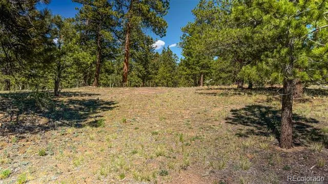 120 Chubb Court Buena Vista, CO 81211