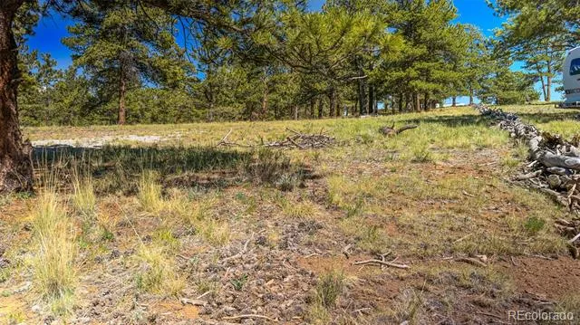 120 Chubb Court Buena Vista, CO 81211