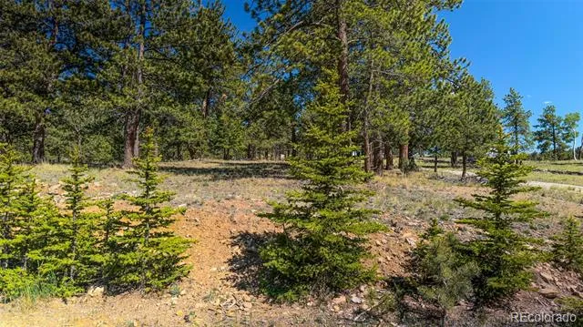 120 Chubb Court Buena Vista, CO 81211