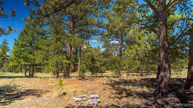 120 Chubb Court Buena Vista, CO 81211
