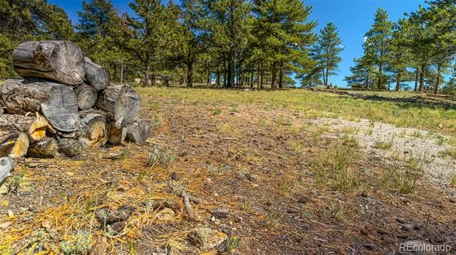 120 Chubb Court Buena Vista, CO 81211