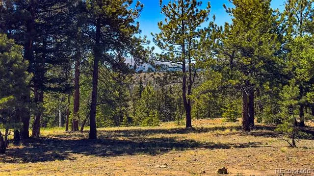 120 Chubb Court Buena Vista, CO 81211