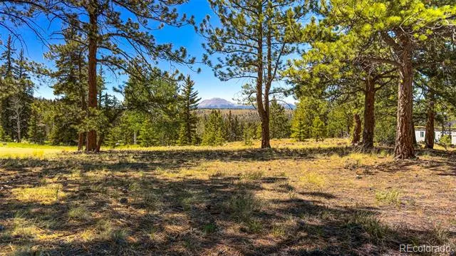 120 Chubb Court Buena Vista, CO 81211