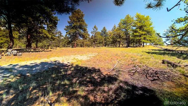 120 Chubb Court Buena Vista, CO 81211