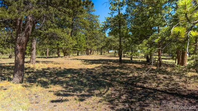 120 Chubb Court Buena Vista, CO 81211