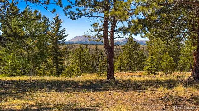 120 Chubb Court Buena Vista, CO 81211