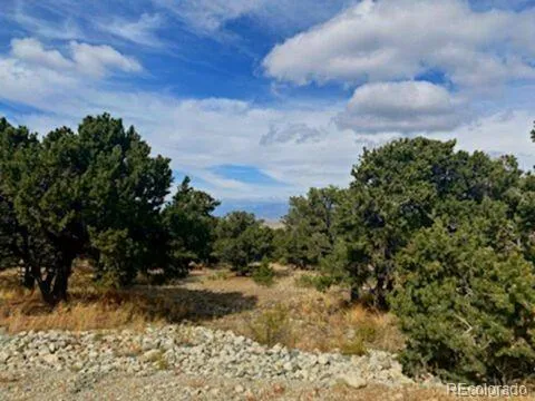0000 Mill Run Mosca, CO 81101