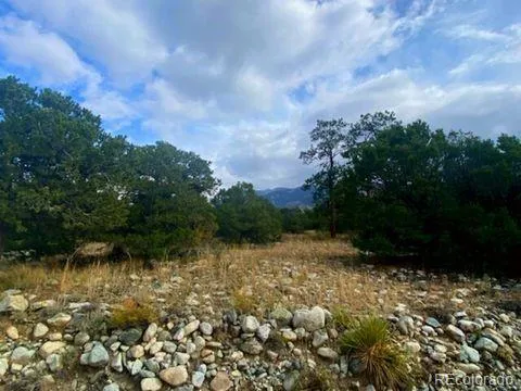 0000 Mill Run Mosca, CO 81101
