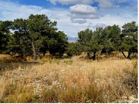 0000 Mill Run Mosca, CO 81101
