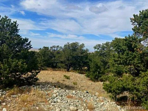 0000 Mill Run Mosca, CO 81101