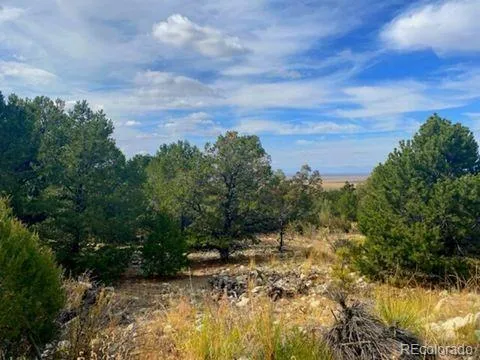 0000 Mill Run Mosca, CO 81101