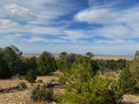 0000 Mill Run Mosca, CO 81101