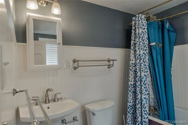 301 E 5th Street Leadville, CO 80461