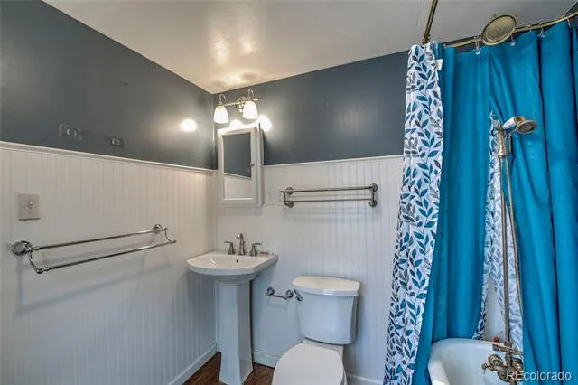 301 E 5th Street Leadville, CO 80461