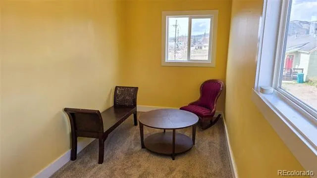 301 E 5th Street Leadville, CO 80461