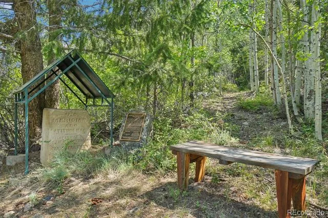 203 9th Street Georgetown, CO 80444